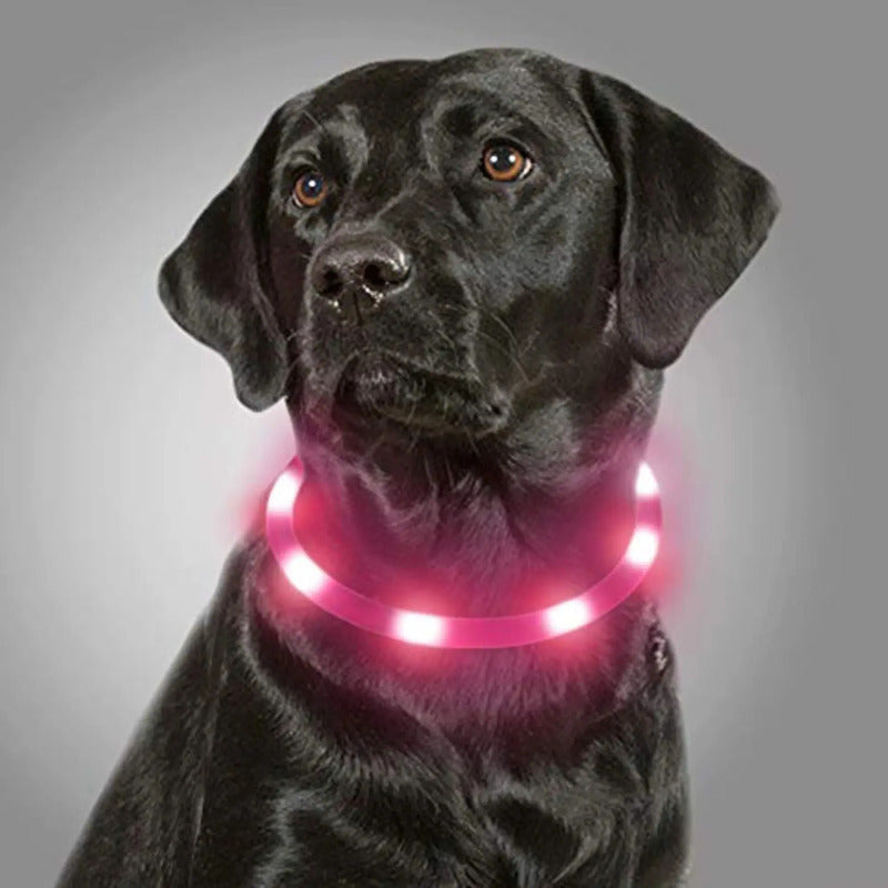 Collar LED recargable talla L