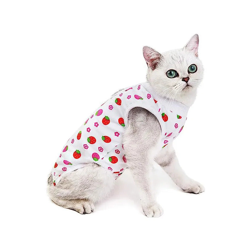 Body Post Operatorio Para Gatos Diseños Variados Talla Xl