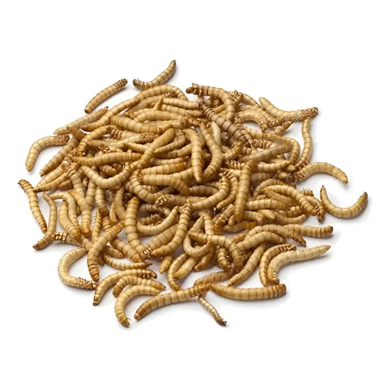 Tenebrios deshidratados 50 Gr