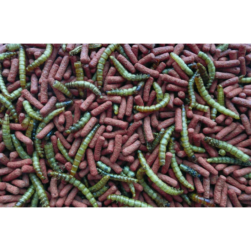 Alimento Atelerix 1 kg Tropifit
