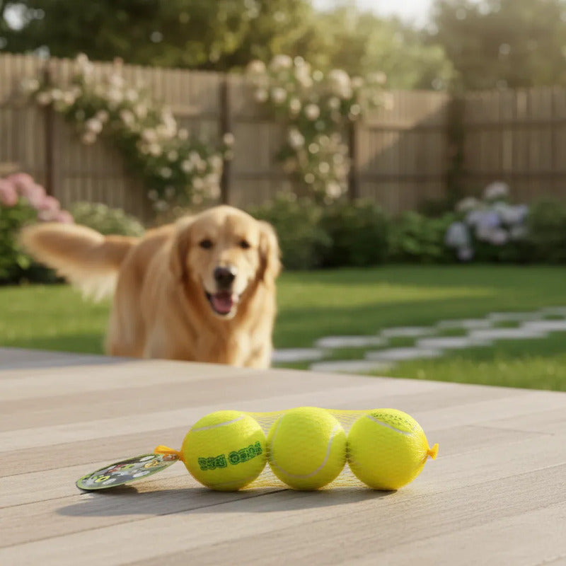 Pelotas de tenis Turbo Dog 3 Un