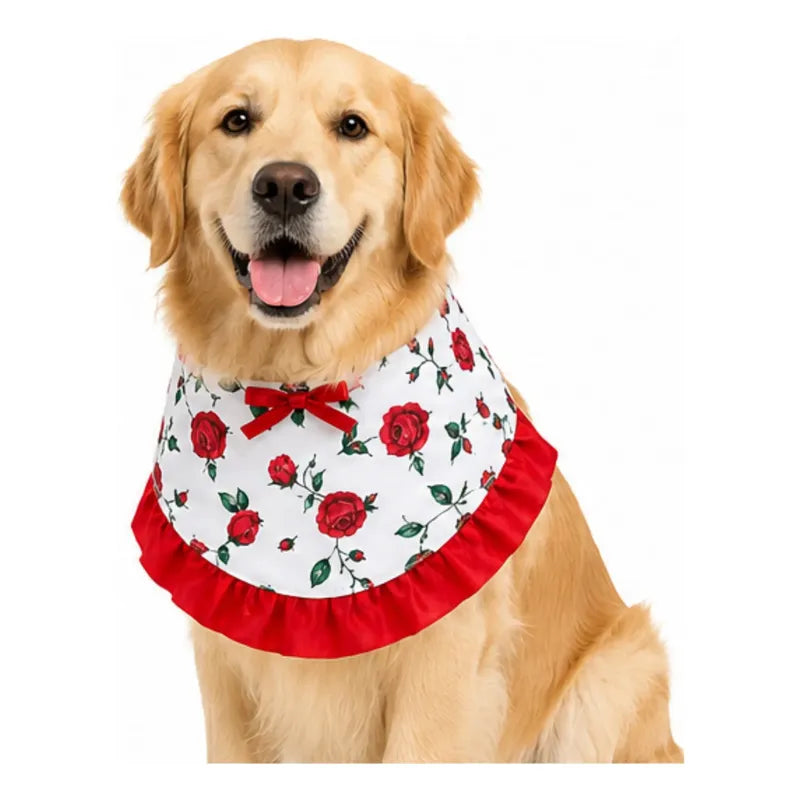 Bandana traje de huasa chinita
