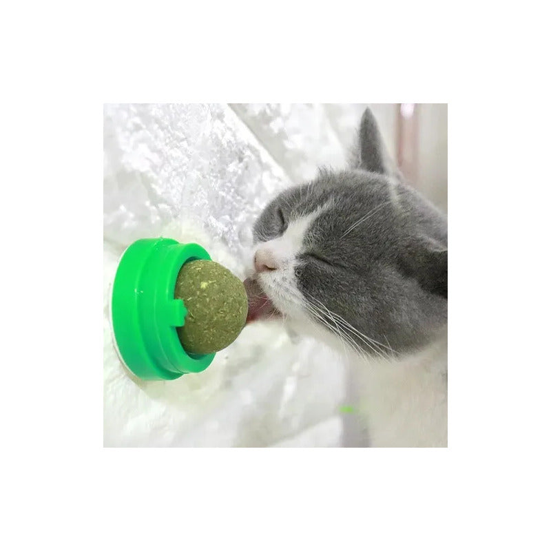 Juguete bola de catnip