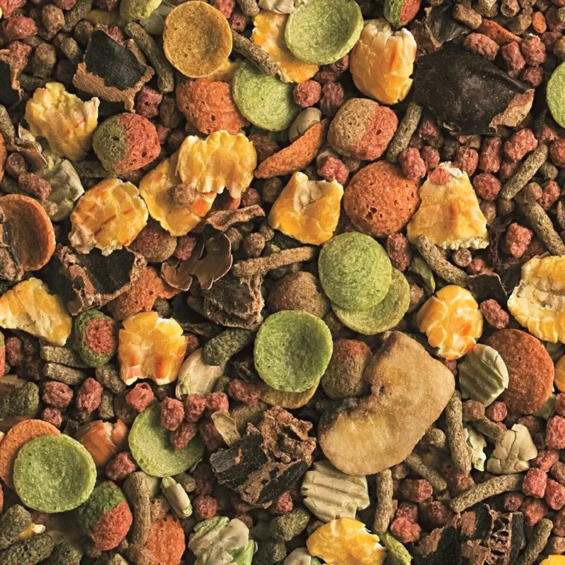 Alimento Guinea Pig Tropifit 500 Gr