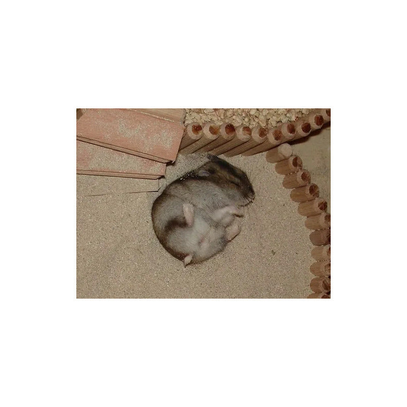 Arena para chinchilla 1,5 kg