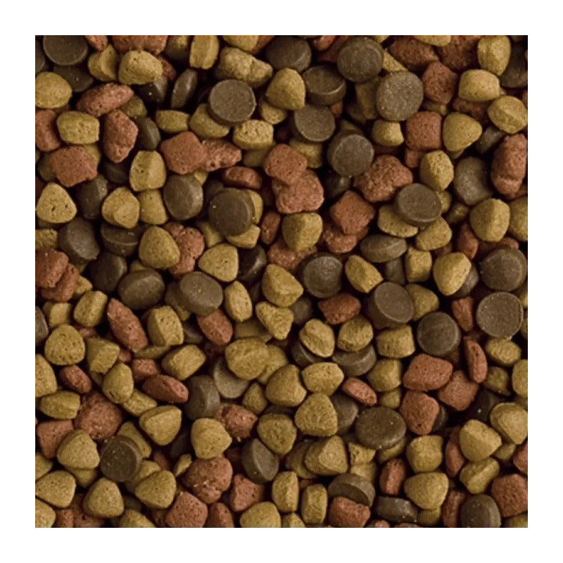 Alimento Ferret Tropifit 400 Gr