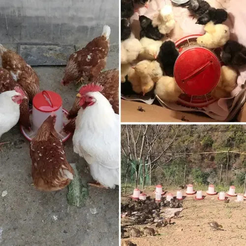 Comedero granja 1.5 Kg Pack 2 Un