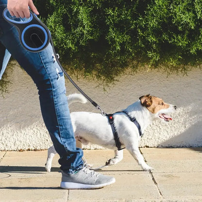 Correa Para Perros Retractil 3 Metros Negro