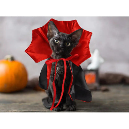 Disfraz de vampiro Halloween