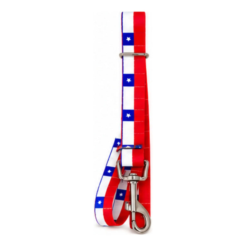 Correa Para Perros Super Chileno Talla S Wonder Dog Chile