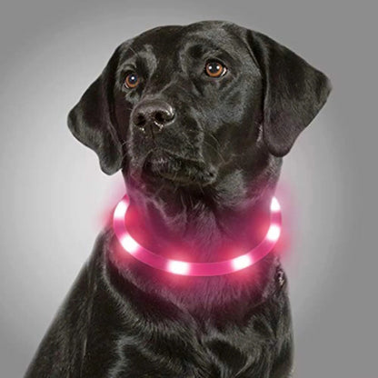 Collar LED recargable talla L