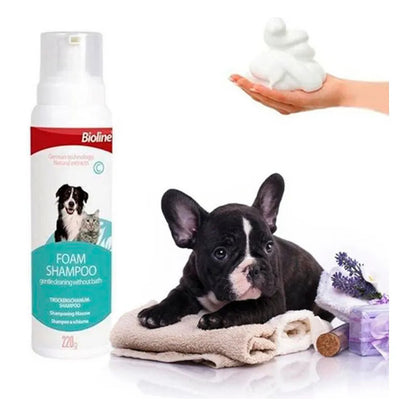 Shampoo espuma en seco