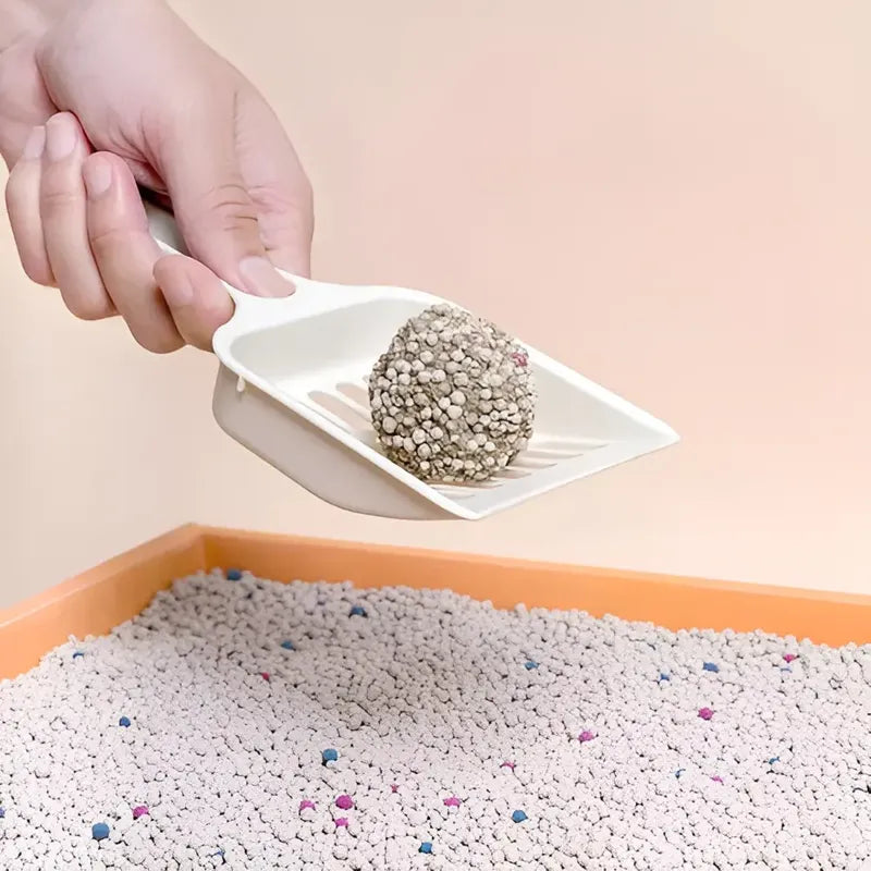 Easy Clean Lavanda 20 Kg