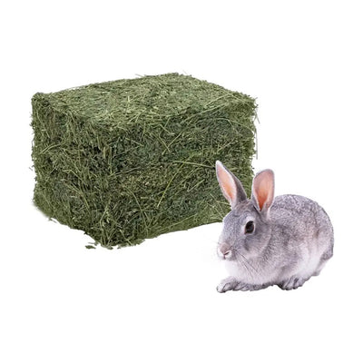 Heno de alfalfa 3 kg