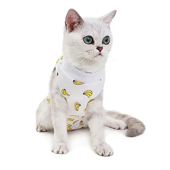 Body Post Operatorio Para Gatos Diseños Variados Talla M