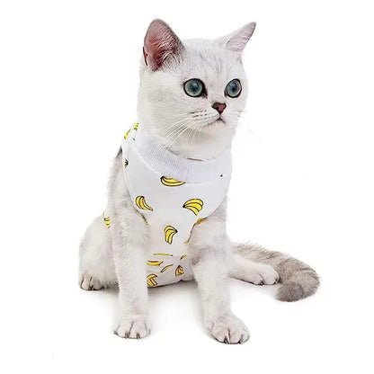 Body Post Operatorio Para Gatos Diseños Variados Talla M