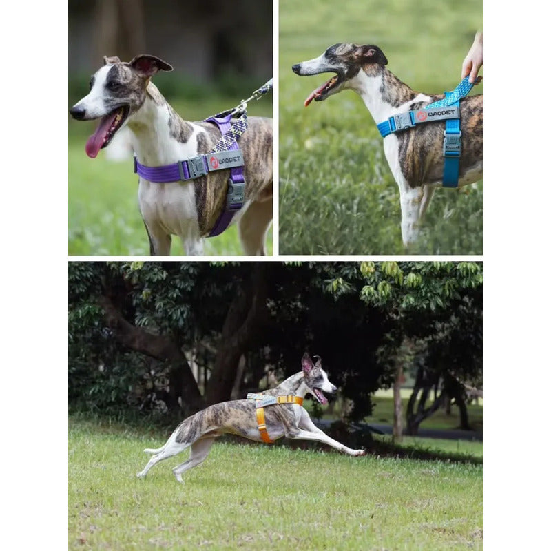 Arnés tipo T Wonder Dog talla S azul