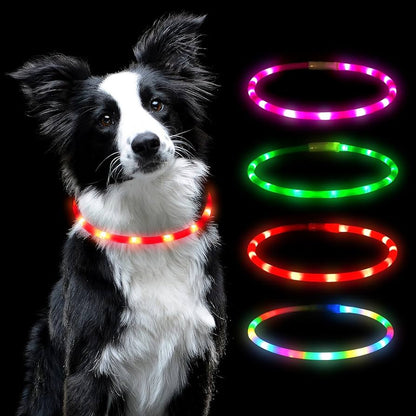 Collar LED recargable talla M