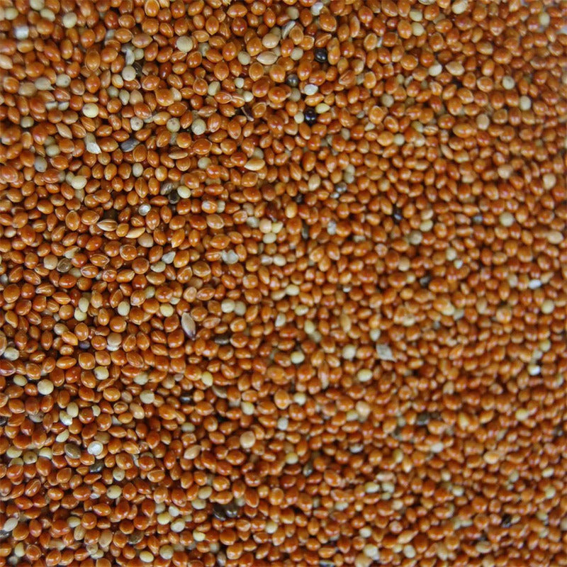 Semillas de mijo rojo 500 gr