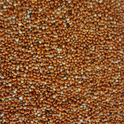 Semillas de mijo rojo 500 gr