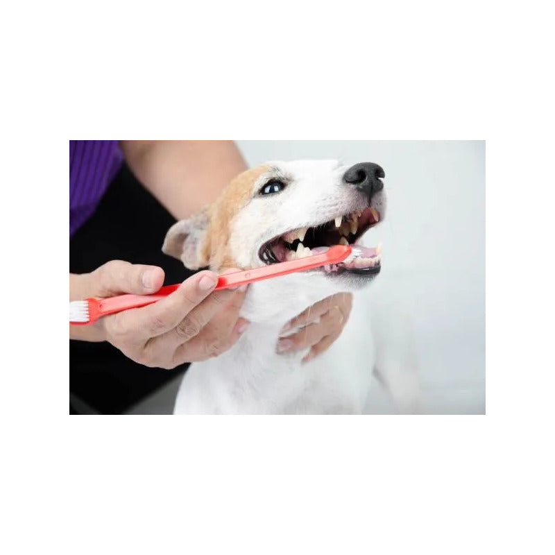 Set cepillos dentales 4 Un