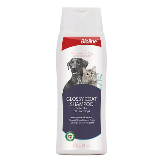 Shampoo pelaje graso