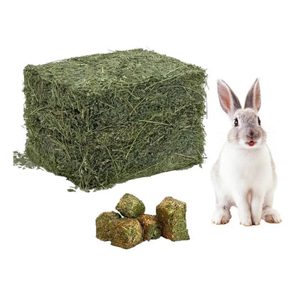 Pack Heno Alfalfa 1 Kg + Cubos Ballica 500 Gr Para Roedores
