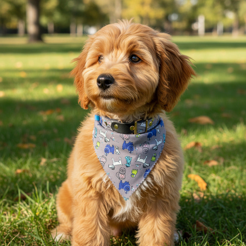 Bandana talla L