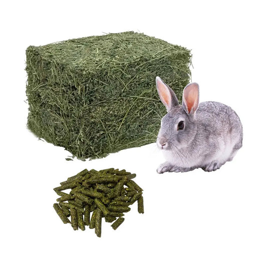 Pack heno alfalfa 2 kg + pellet alfalfa 2 kg
