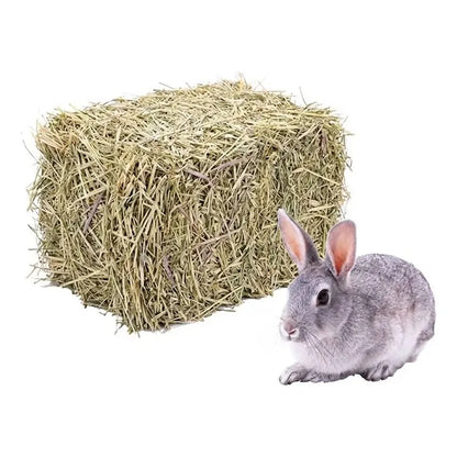 Heno De Ballica Y Avena 5 Kg Alimento Roedores Conejos Y Cuy