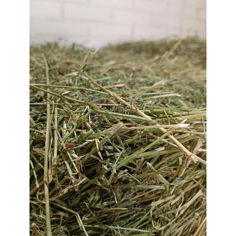 Heno de alfalfa 500 gr
