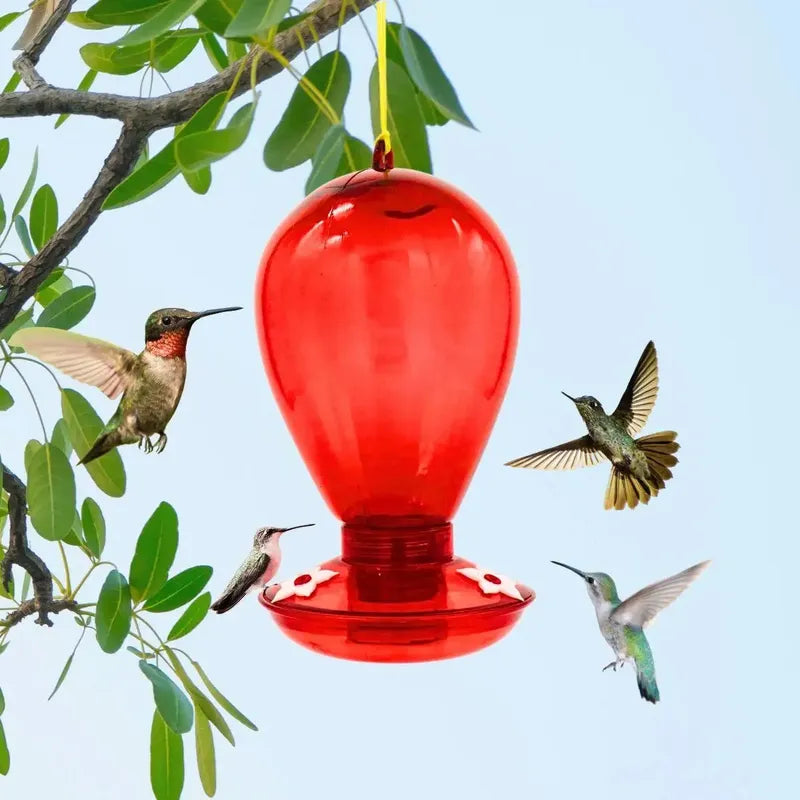 Bebedero colibríes rojo