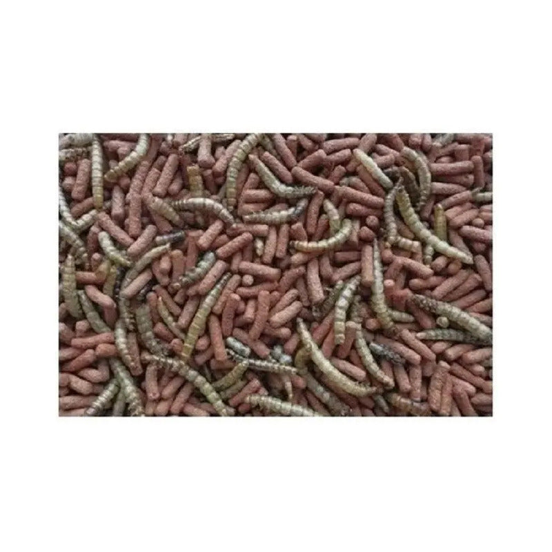 Alimento Atelerix Tropifit 1 kg