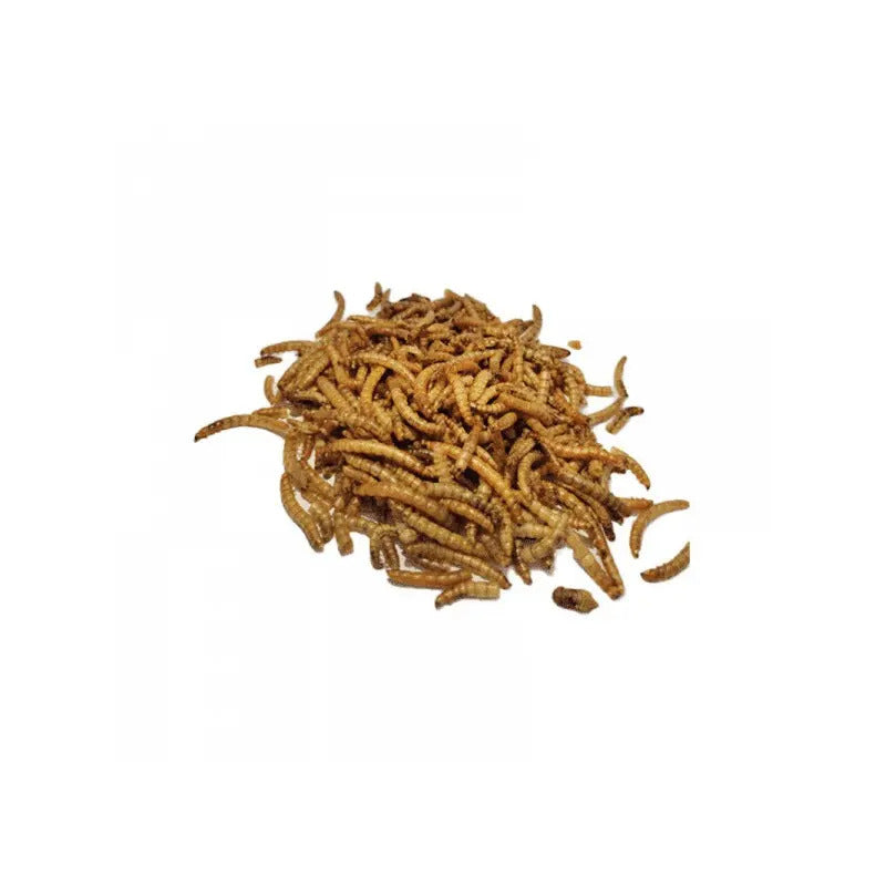 Tenebrios deshidratados 25 Gr