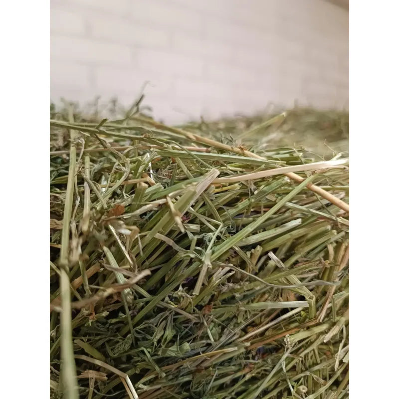 Pack Heno Alfalfa 2 Kg + Cubos Ballica 1 Kg Para Roedores