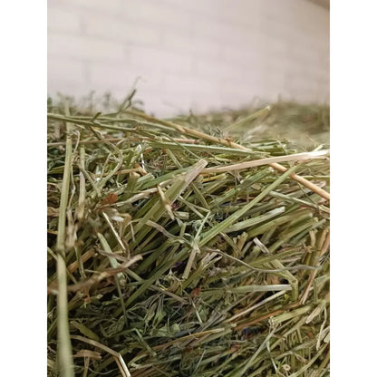 Pack Heno Alfalfa 2 Kg + Cubos Ballica 1 Kg Para Roedores