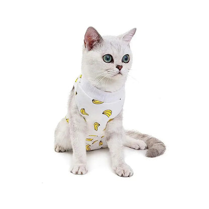 Body Post Operatorio Para Gatos Diseños Variados Talla L