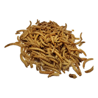 Tenebrios deshidratados 100 Gr