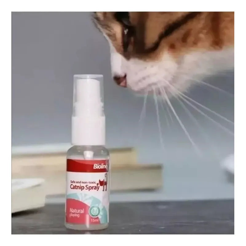 Spray catnip 50 Ml