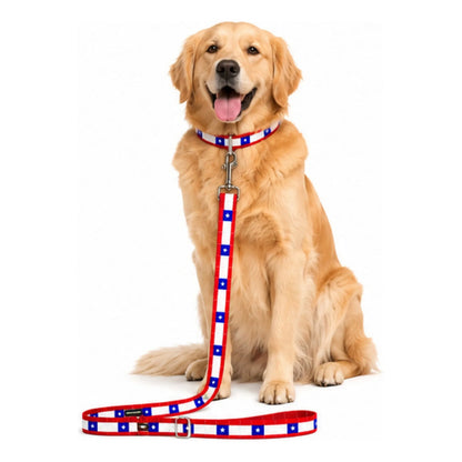 Correa Para Perros Super Chileno Talla S Wonder Dog Chile