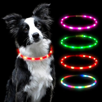 Collar LED recargable talla L