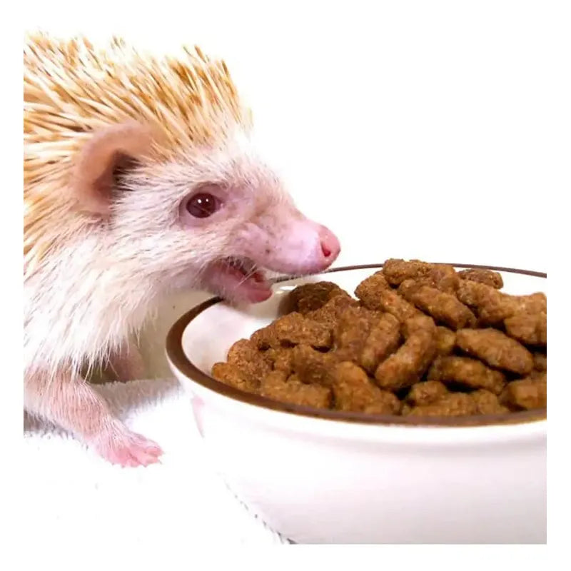 Alimento Spikes Dinner Para Erizos De Tierra 600 Gr