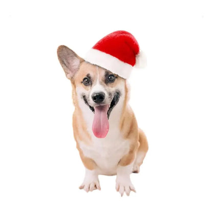 Gorro de navidad