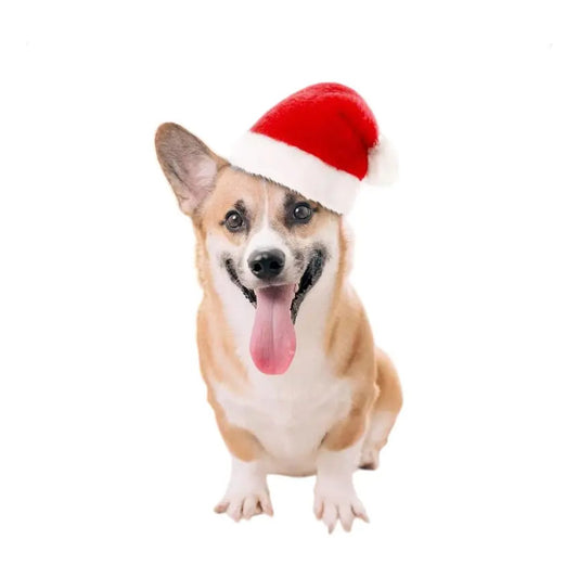 Gorro de navidad