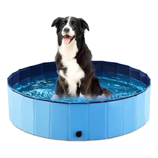 Piscina plegable Talla M 120x30 cm