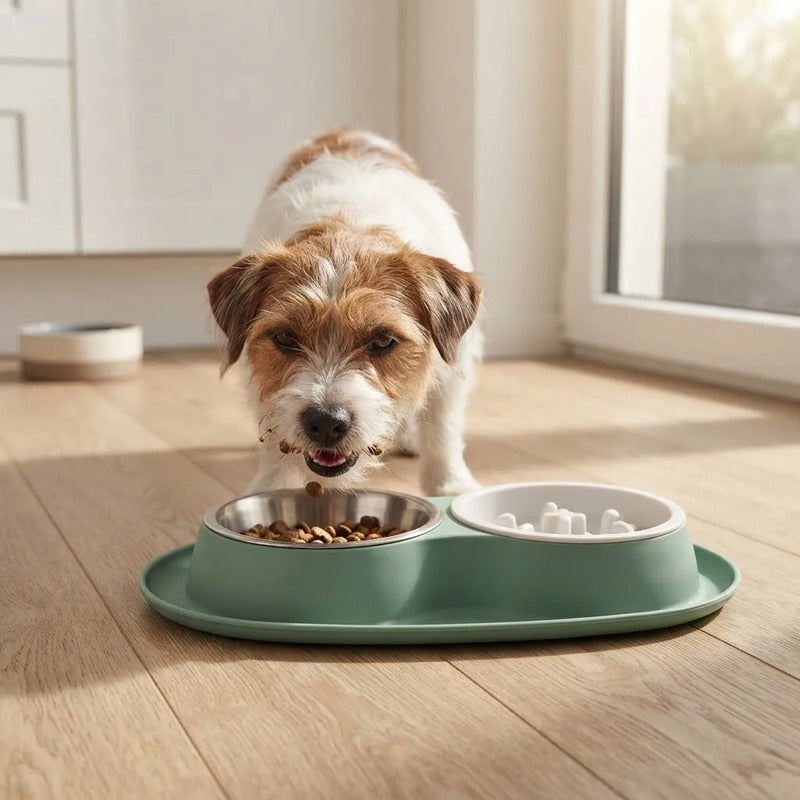 Plato Doble Para Perros Con Alimentación Lenta Verde