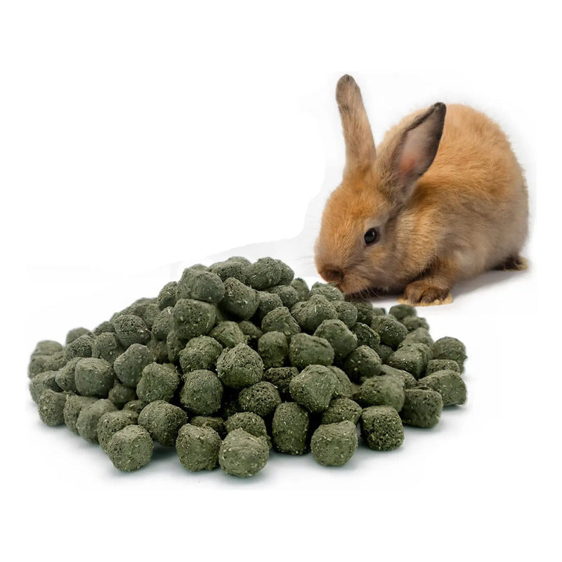 Cubos De Ballica 5 Kg Para Roedores Conejos Cuy Hamster