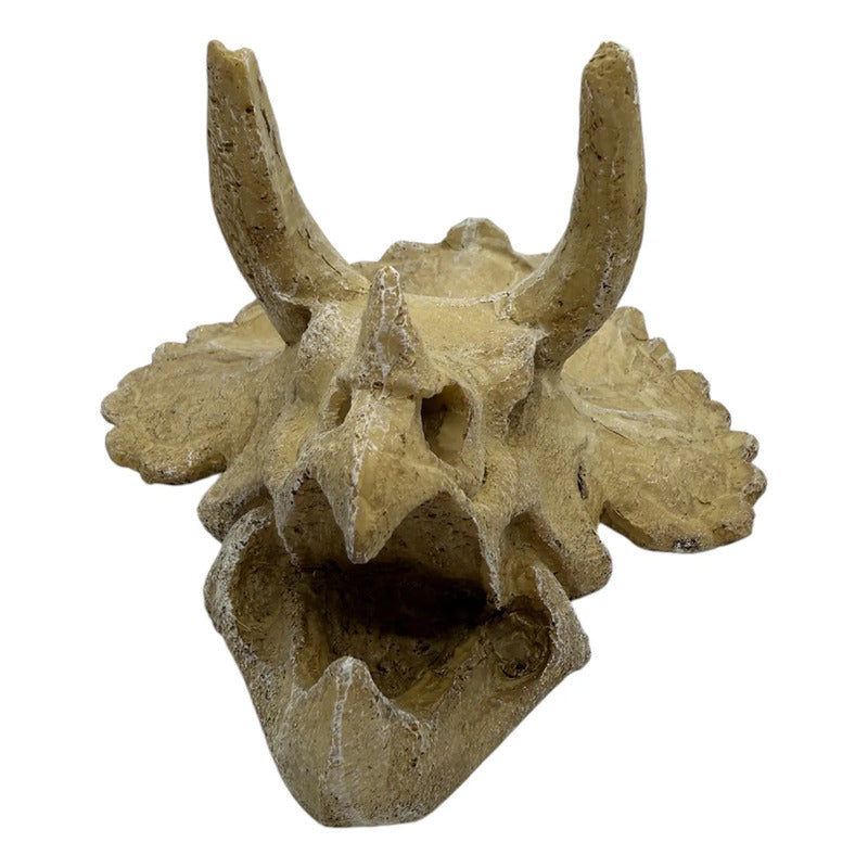 Adorno cráneo de triceratops