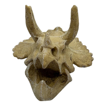 Adorno cráneo de triceratops