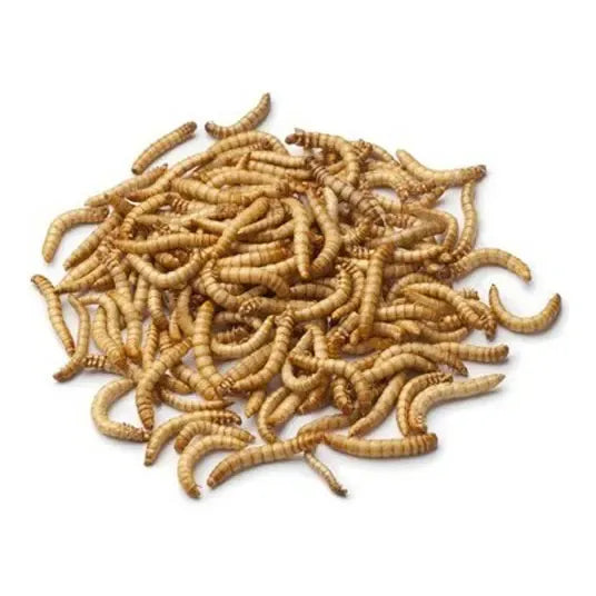 Tenebrios deshidratados 200 Gr